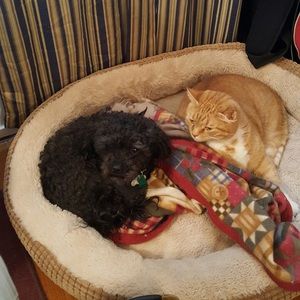 Meet your Posher, Matt